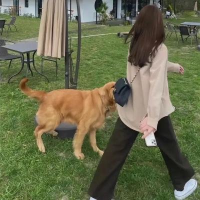 犹如故人来